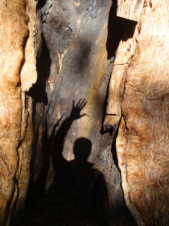Brown and Black Rock Formation